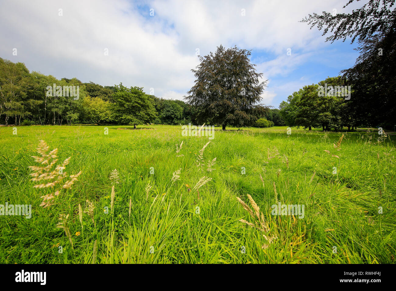 Essen, Renania del Norte-Westfalia, área de Ruhr, Alemania - El Stoppenberg Schonnebeck Hallopark entre y es uno de los espacios verdes más antiguos en Essen, aquí Foto de stock