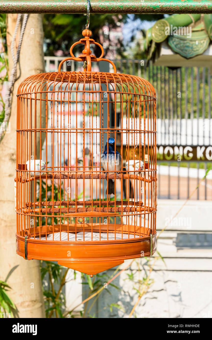 Madera Hnaging bird cage en el de Yuen Po Street Bird Garden, Mong Kok, Hong Kong Foto de stock