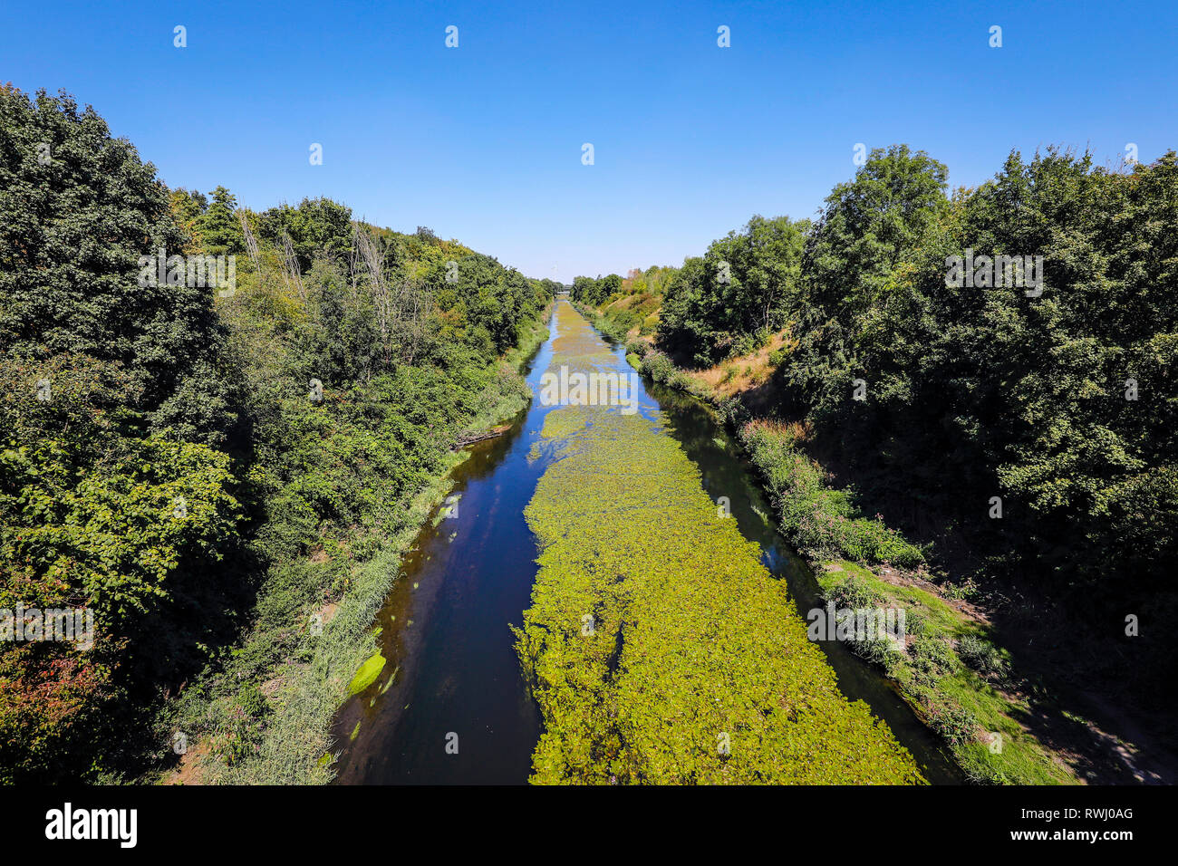 Dortmund, área de Ruhr, Renania del Norte-Westfalia, Alemania - el Emscher, Dortmund-Deusen renatured en Río. La reconstrucción ecológica de la Emscher Syste Foto de stock