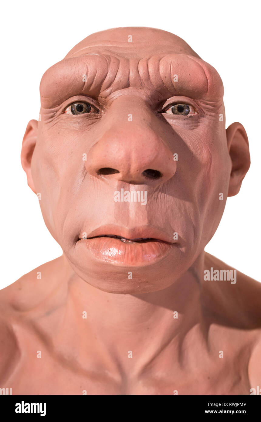 Busto de Neanderthal de tamaño natural en el Museo de Historia local de Montilla, Córdoba, España. Esculpido por JM Serrano. Vista frontal Foto de stock