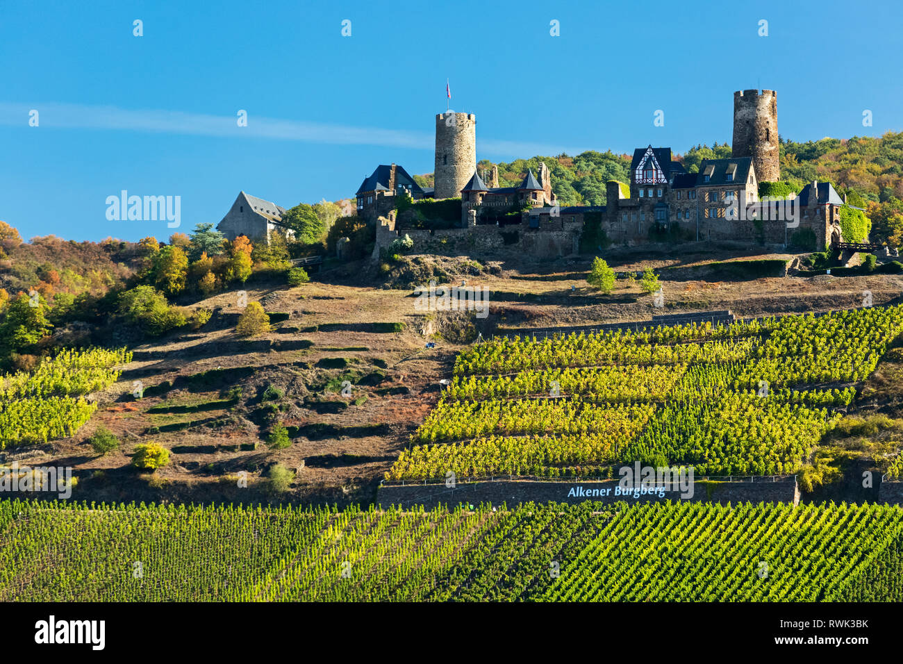 Antiguo castillo de piedra en la cima de una colina con hileras de viñedos a lo largo de pendientes empinadas con cielo azul; Alken, Alemania Foto de stock