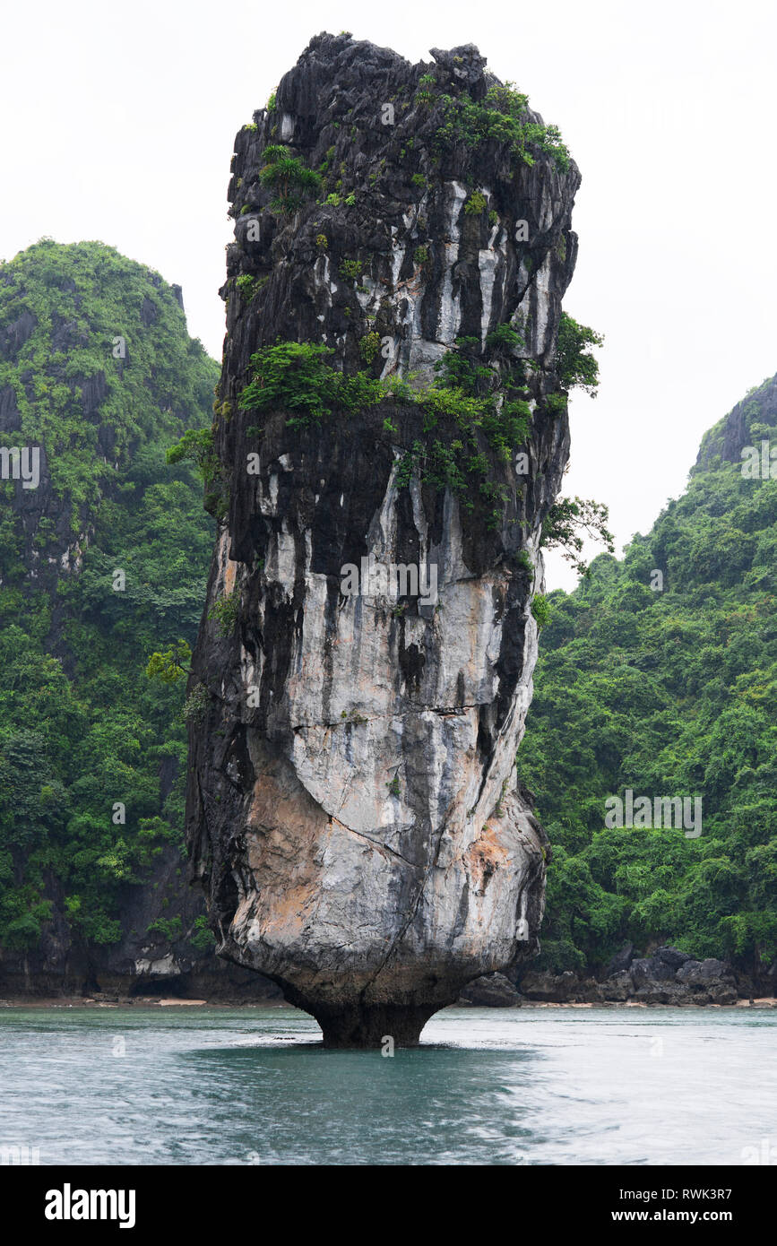 La bahía de Halong Karst paisajes del mar, sitio del Patrimonio Mundial de la UNESCO viajes en Vietnam Foto de stock