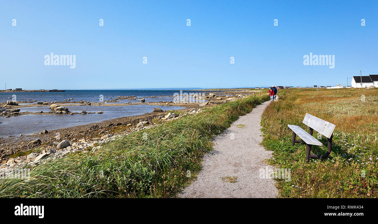 Sendero costero en Flower's Cove, que conduce a un clúster de thromobolites, grandes organismos fosilizados que prosperó en la zona de mareas de unos 650 millones de años atrás. Flower's Cove, Newfoundland, Canadá Occidental Foto de stock