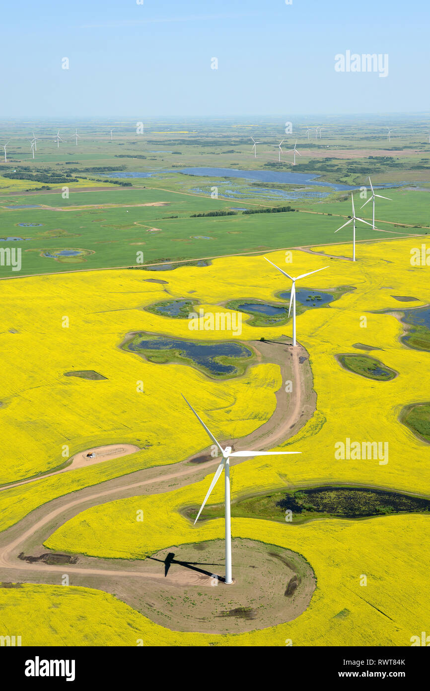 Canola crops aerial fotografías e imágenes de alta resolución - Alamy