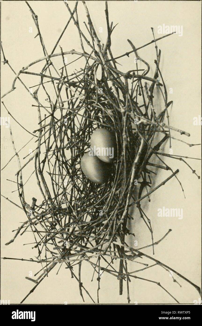 Órgano oficial de la UEM La UEM órgano oficial de la Unión de