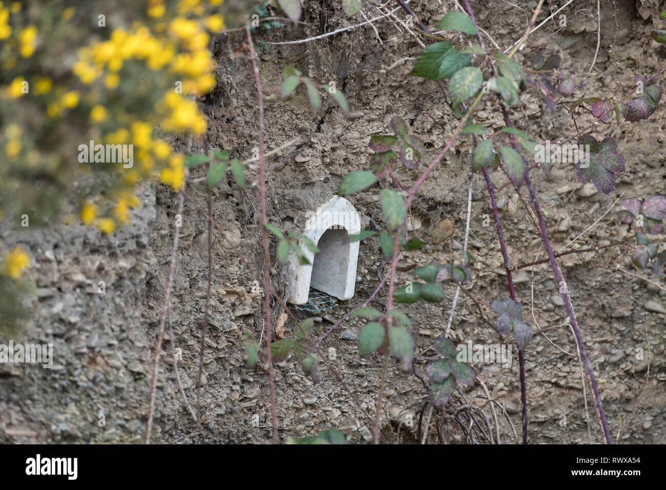 Kingfisher anidamiento artificial agujero en la entrada de una reserva en Gales, Reino Unido Foto de stock