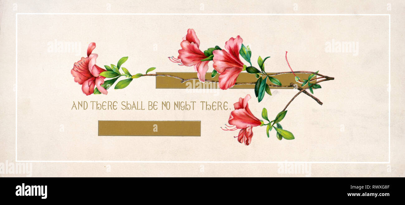 Letra de flores en caja de madera - Eternal Disati
