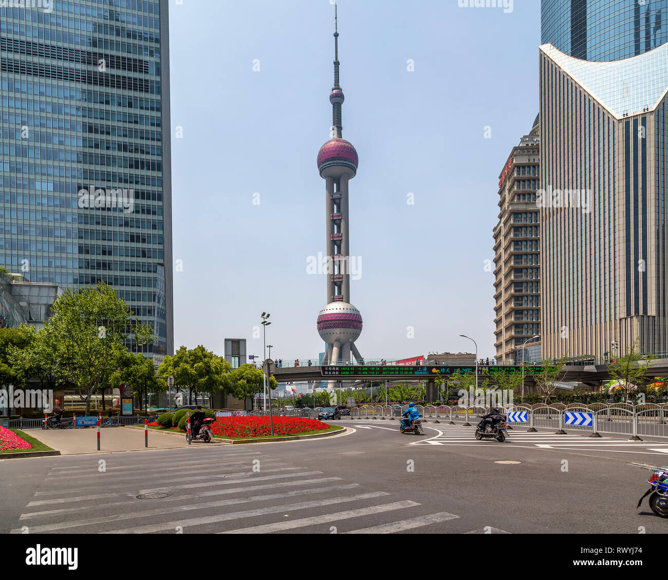 La Oriental Pearl Tower está en medio de rascacielos de Lujiazui, Nueva área de Pudong, Shanghai, China. Foto de stock