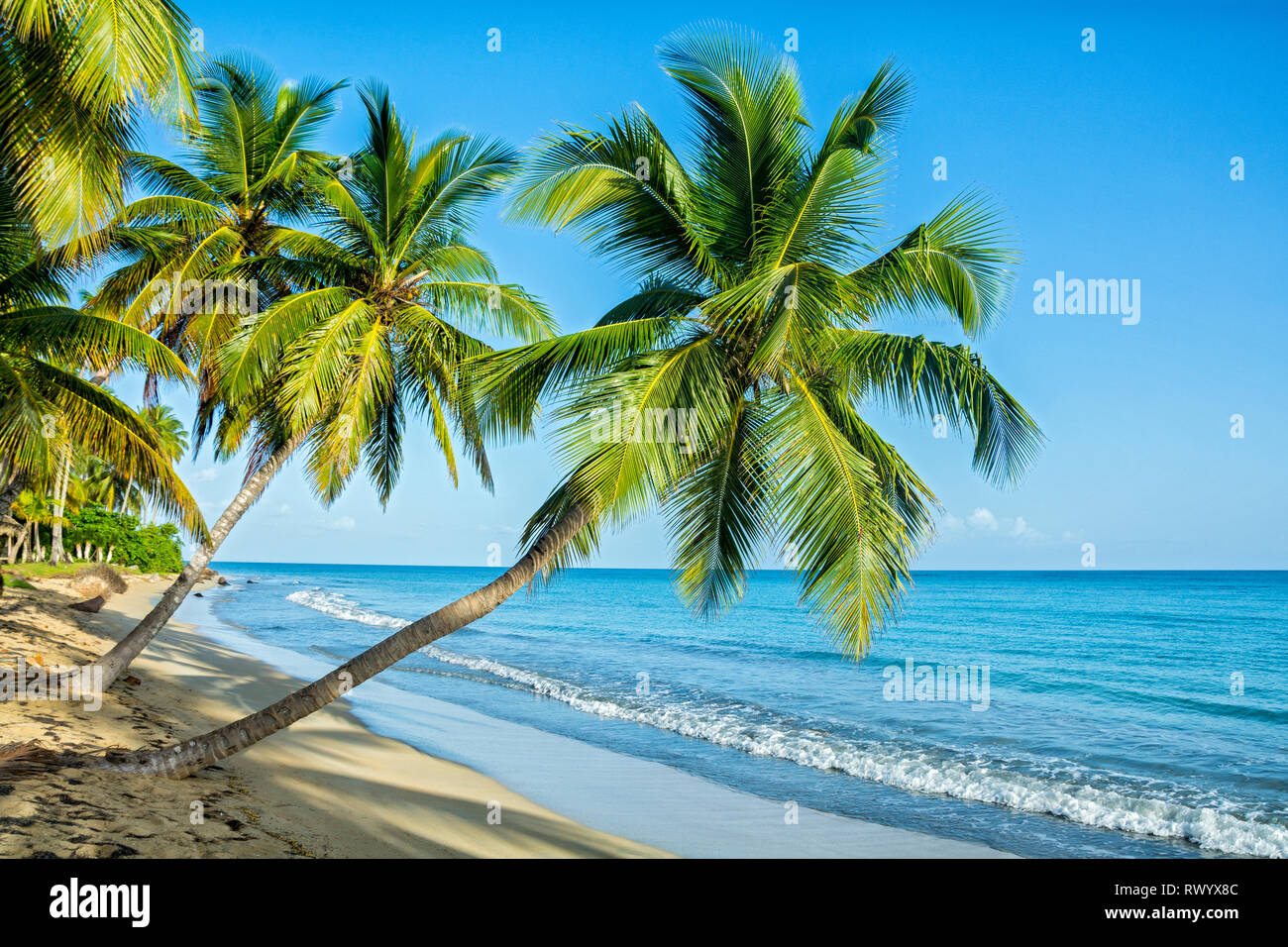 la licenciatura Accidental transferir Hermosas playas fotografías e imágenes de alta resolución - Alamy