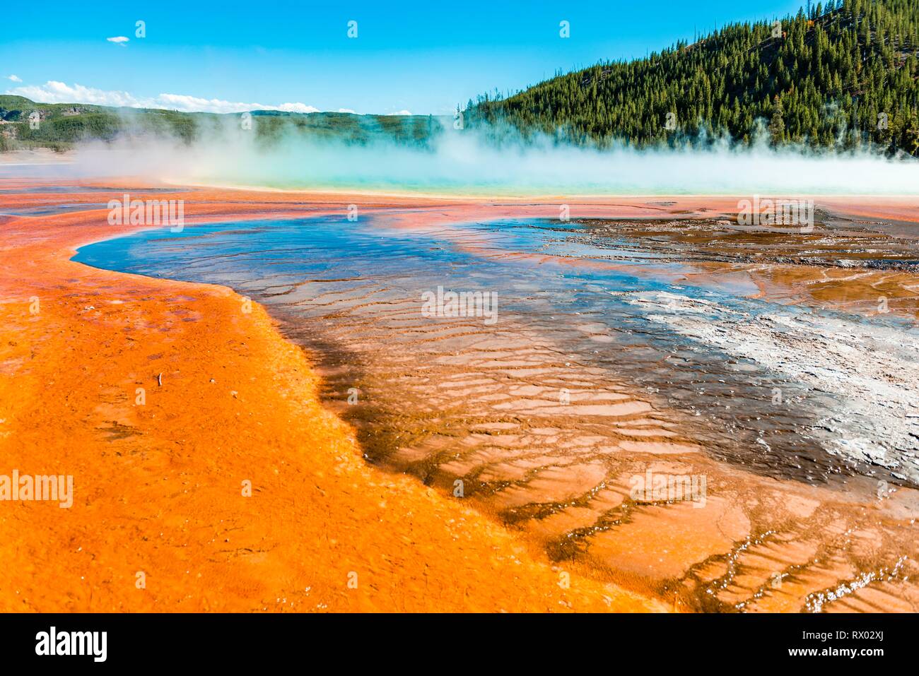 Los depósitos minerales de color en el borde del muelle de vapor caliente, vista detallada, Grand Prismatic Spring, Midway Geyser Basin Foto de stock
