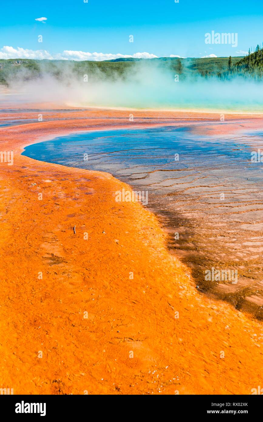 Los depósitos minerales de color en el borde del muelle de vapor caliente, vista detallada, Grand Prismatic Spring, Midway Geyser Basin Foto de stock