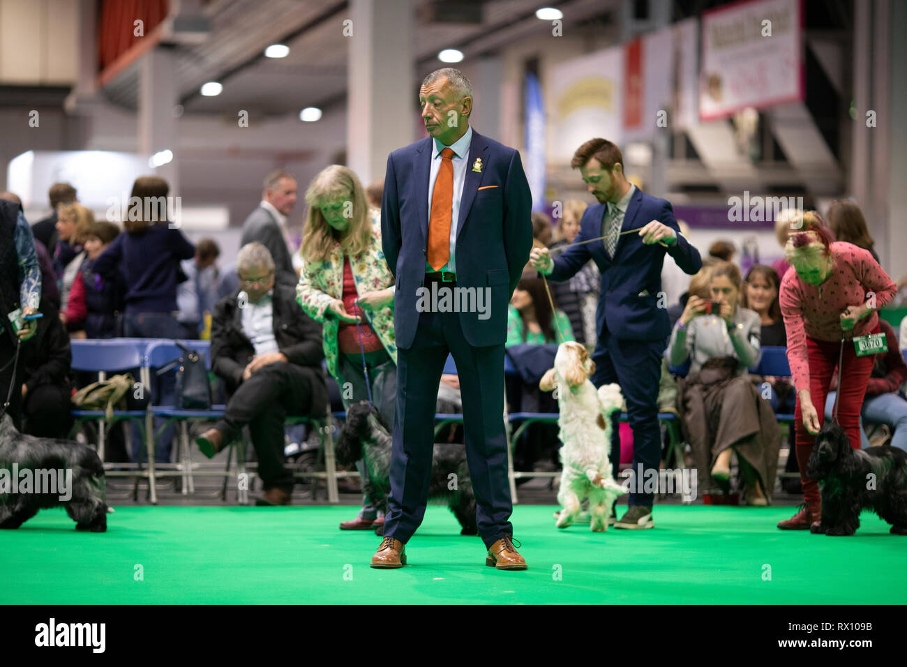 Crufts 2019 Foto de stock