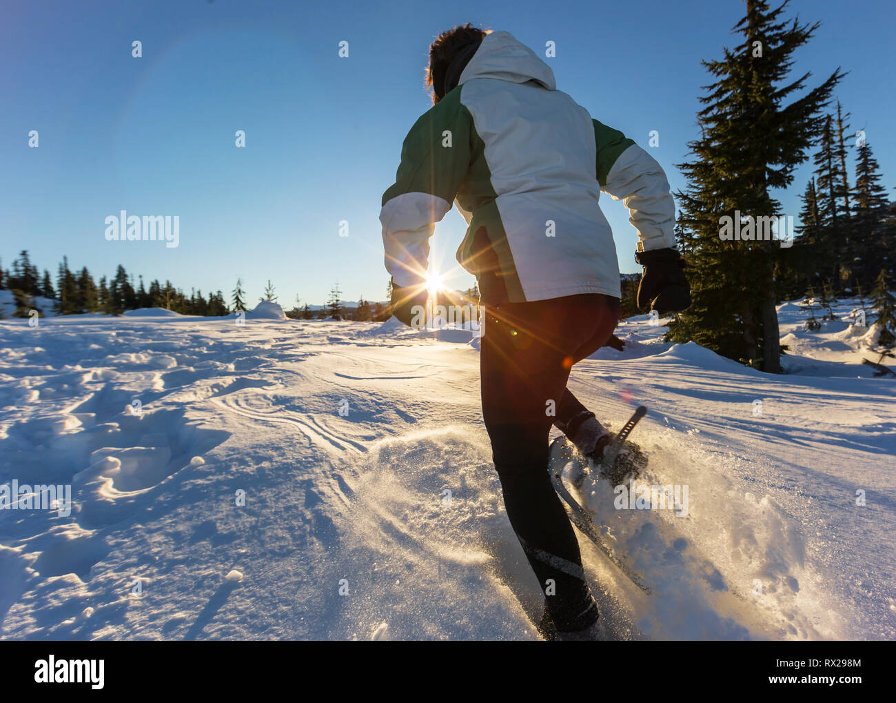 El sol poniente destaca una raquetas de nieve que corre en nieve seca y polvorienta cerca de Mt. Washington. Comox Valley, Vancouver Island, British Columbia, Canadá. Foto de stock