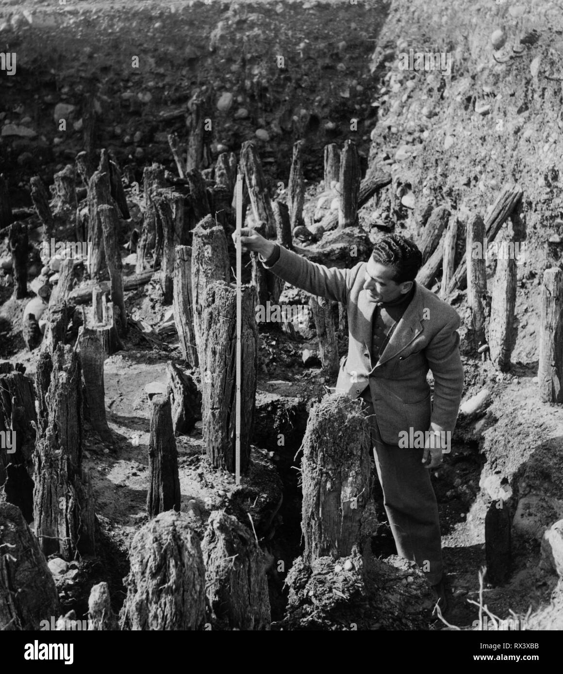 Restos De Pilotes Sobre El R o Mincio Italia 1957 Fotograf a De Stock 