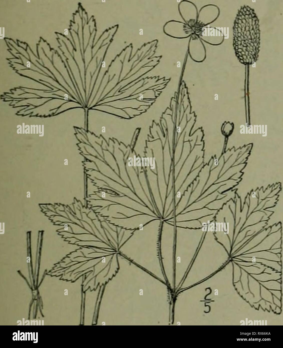 New Jersey Boundary Fotos E Imagenes De Stock Alamy