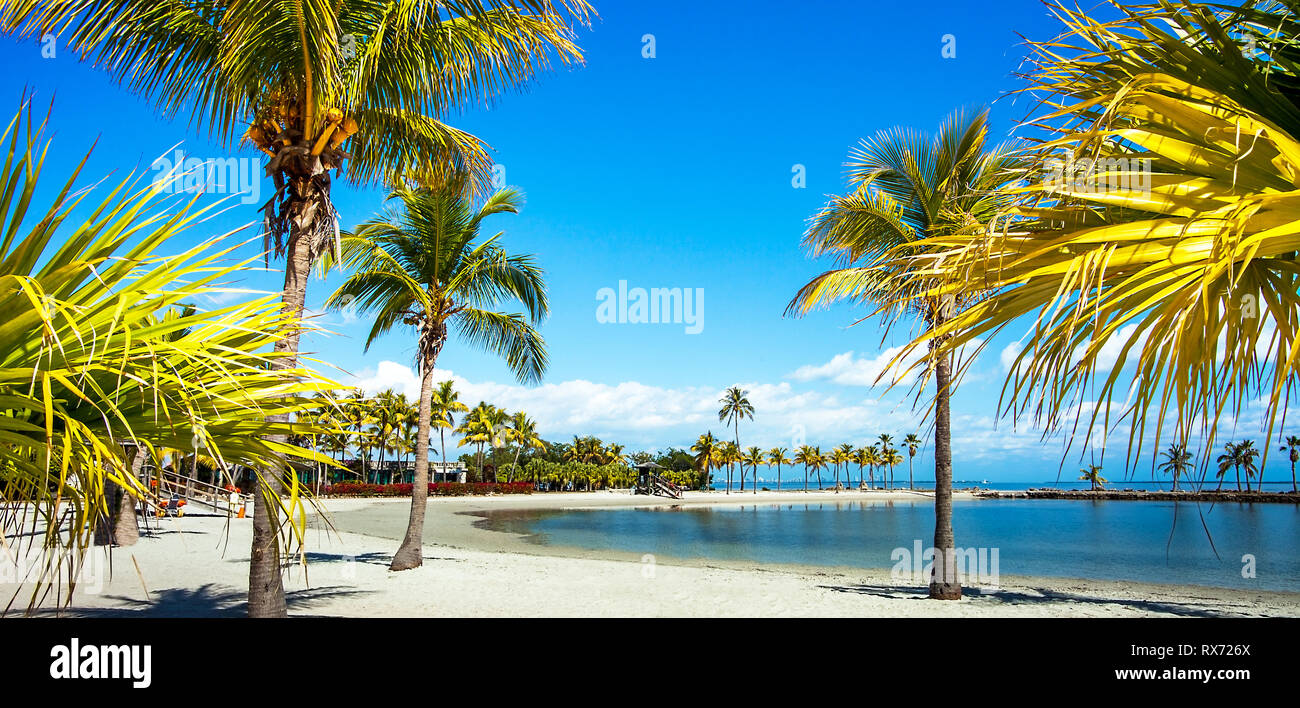 La playa redondo en Matheson Hammock Parque del condado de Miami, Florida Foto de stock