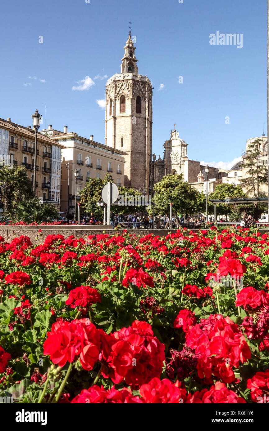 España Torre de la Catedral de Valencia, Plaza de la Reina Primavera de Valencia Foto de stock
