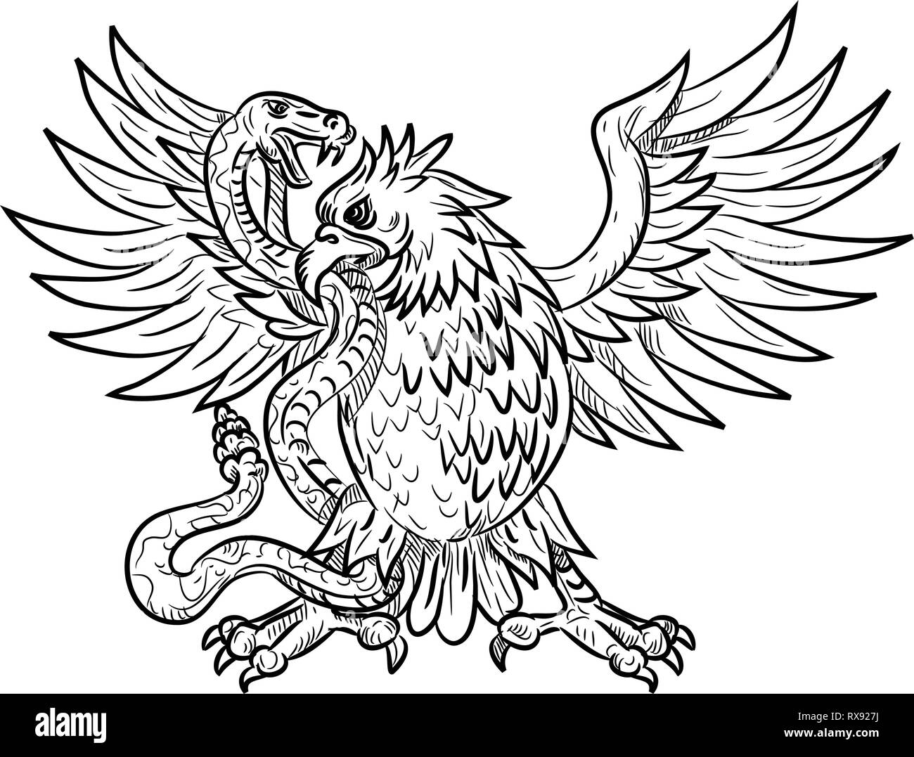 Dibujo Dibujo Ilustración estilo mexicano de un águila, el águila real o el  norte crested caracara luchando contra una serpiente de cascabel, víbora,  serpiente o serpiente en bla Imagen Vector de stock -