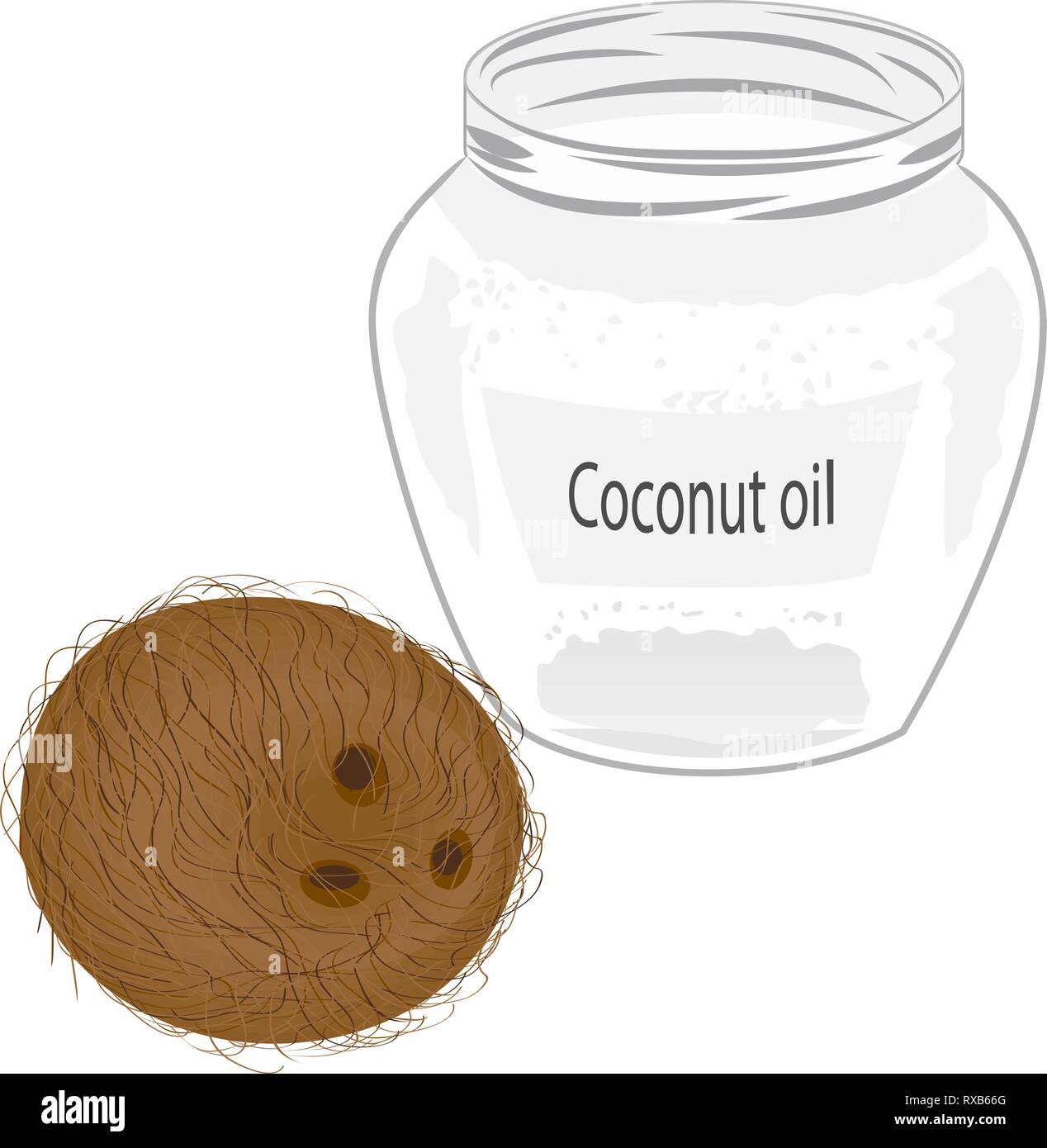Coco y aceite virgen de coco en una jarra ilustración vectorial sobre un fondo blanco. Ilustración del Vector