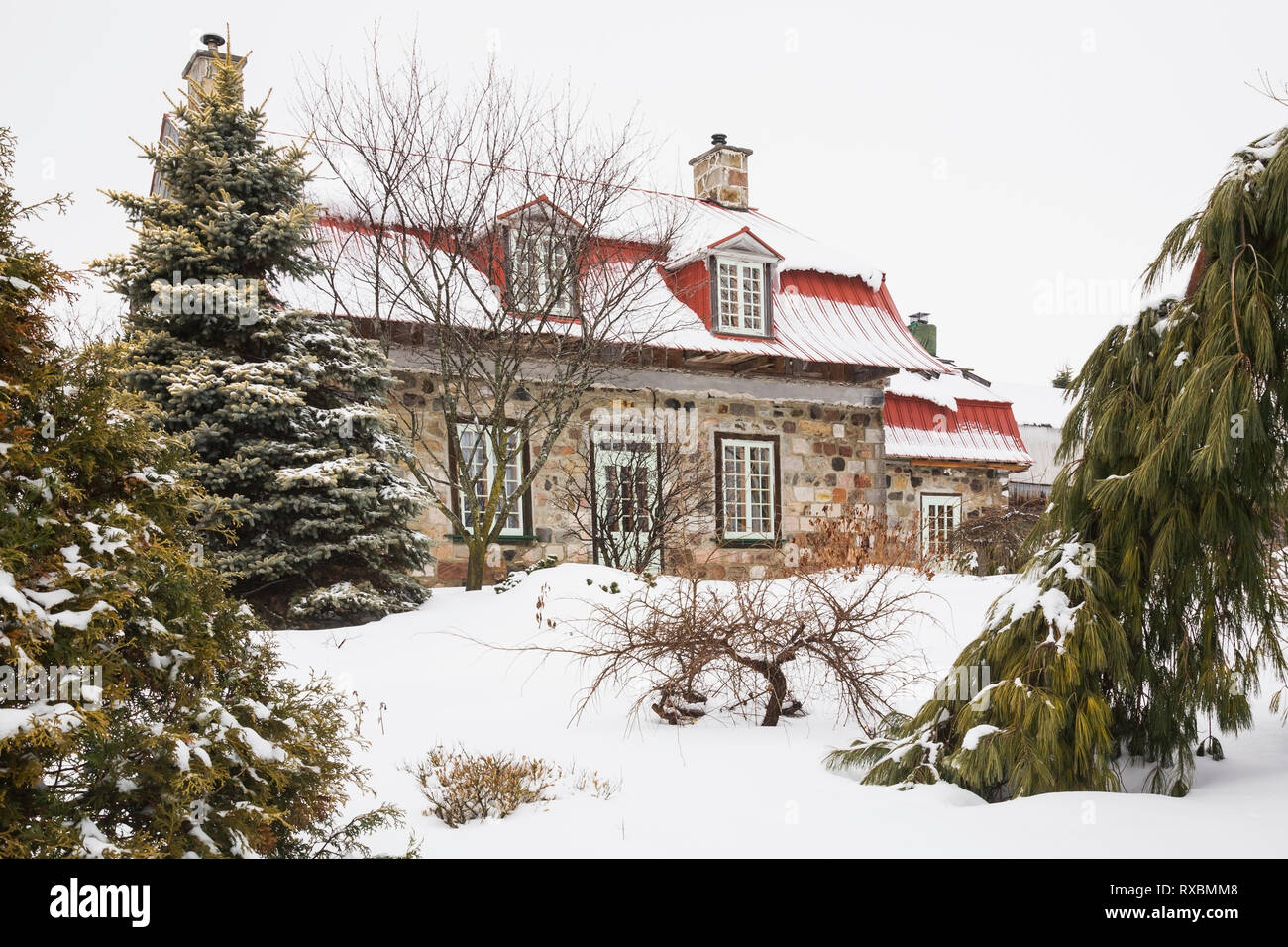 Old 1838 Canadiana casa de estilo cabaña de piedra de campo de colores variados con techo de chapa roja enmarcada por árboles perennes en invierno, Quebec, Canadá. Esta imagen es propiedad liberada. CUPR0204 Foto de stock