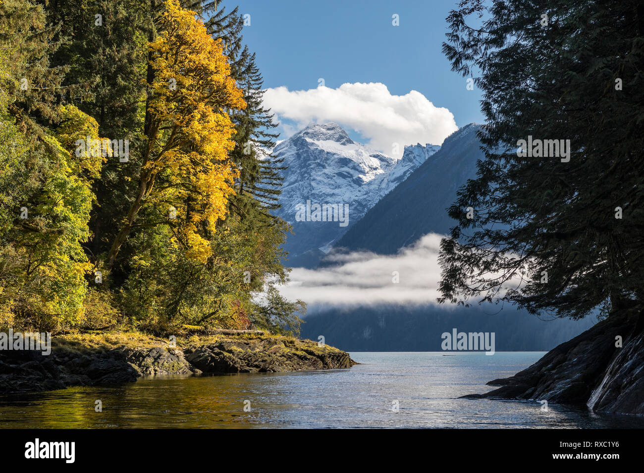 Los colores de otoño y niebla en el Knight Inlet, Glacier Bay, British Columbia, Canadá Foto de stock