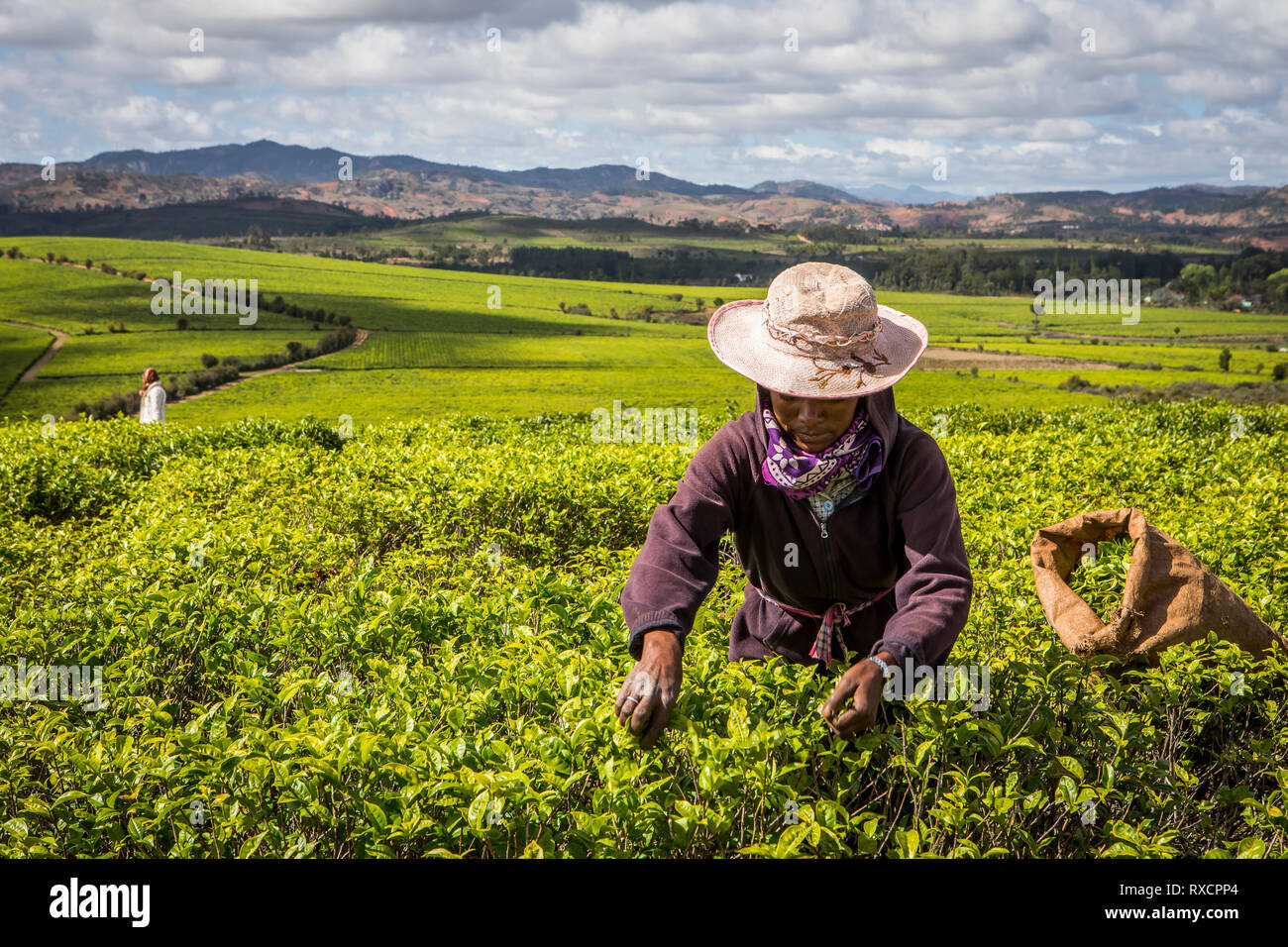 Economia de madagascar fotografías e imágenes de alta resolución Alamy
