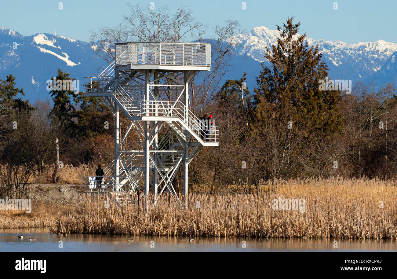 De la torre de observación, George C Reifel Santuario de Aves Migratorias, British Columbia, Canadá Foto de stock