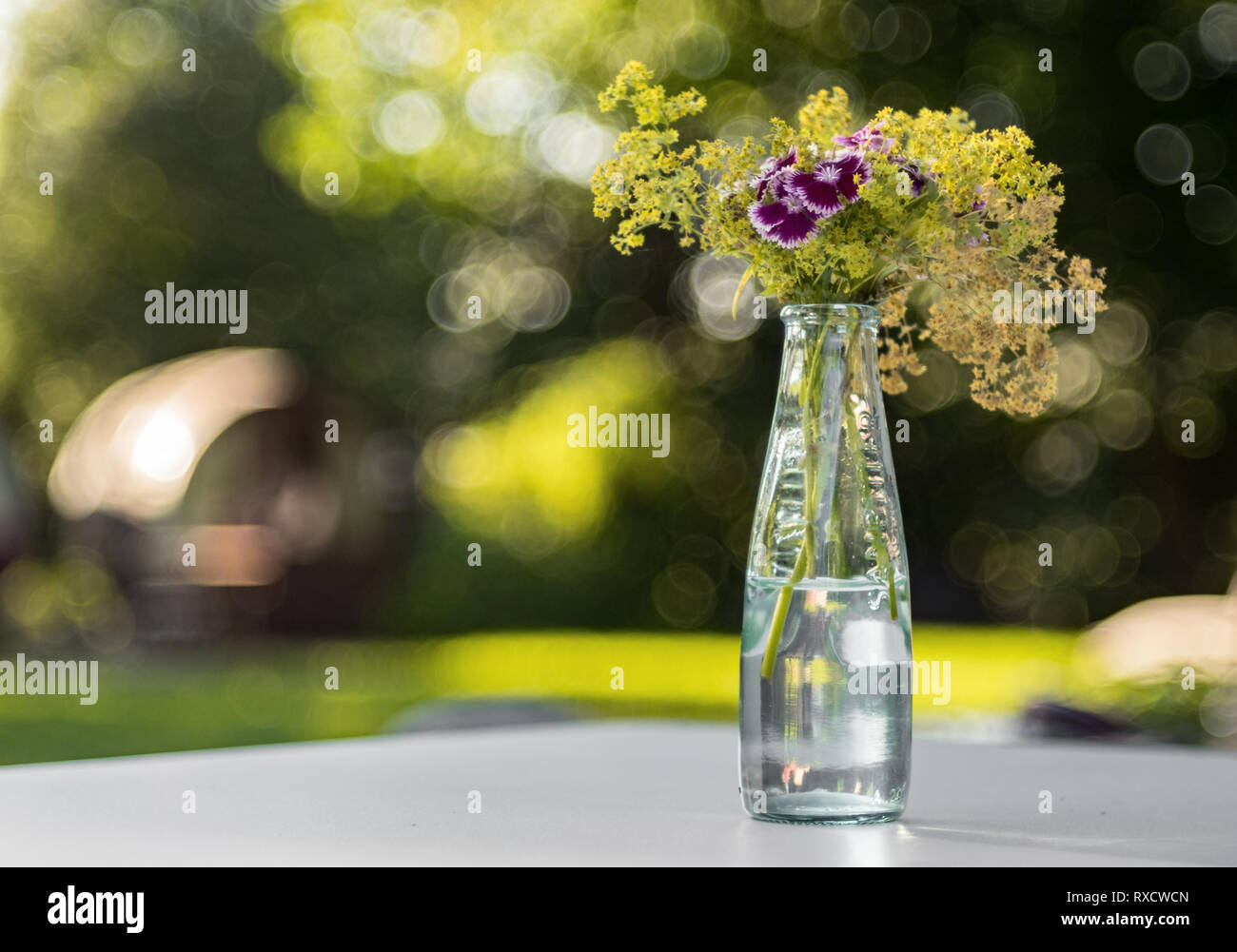 En Blumengesteck einer Glasflasche. Lila Blumen Foto de stock