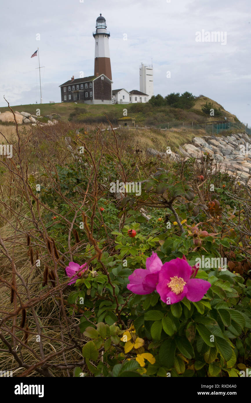 Montauk, el condado de Suffolk, Nueva York, EE.UU. Foto de stock