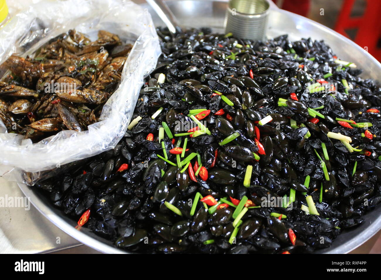 los escarabajos de buceo predaceous se cocinan para la comida en el mercado de camboya Foto de stock