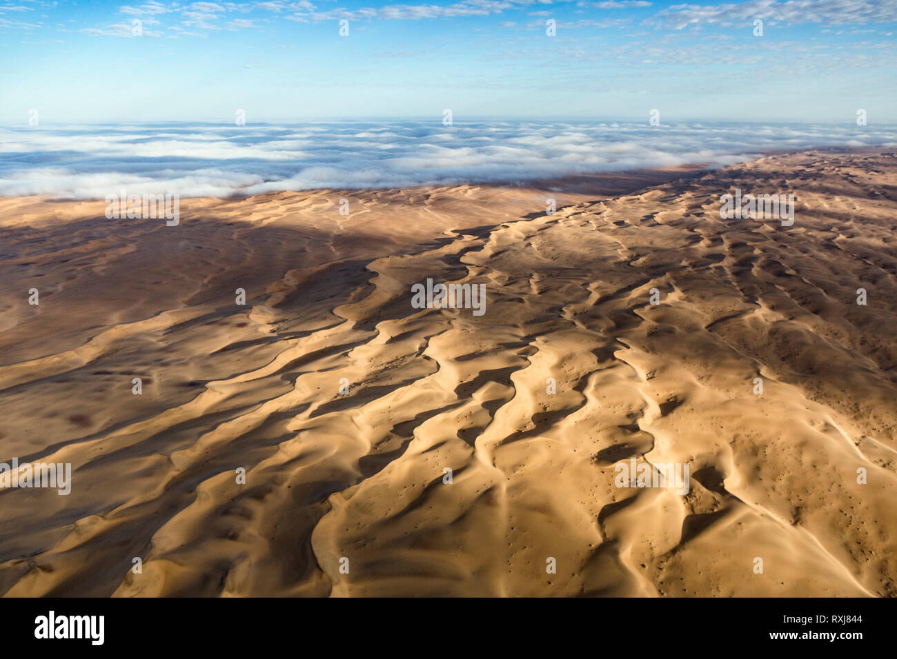 El gran mar de arena dune correa como visto desde arriba con una manta de niebla del océano Atlántico. Foto de stock