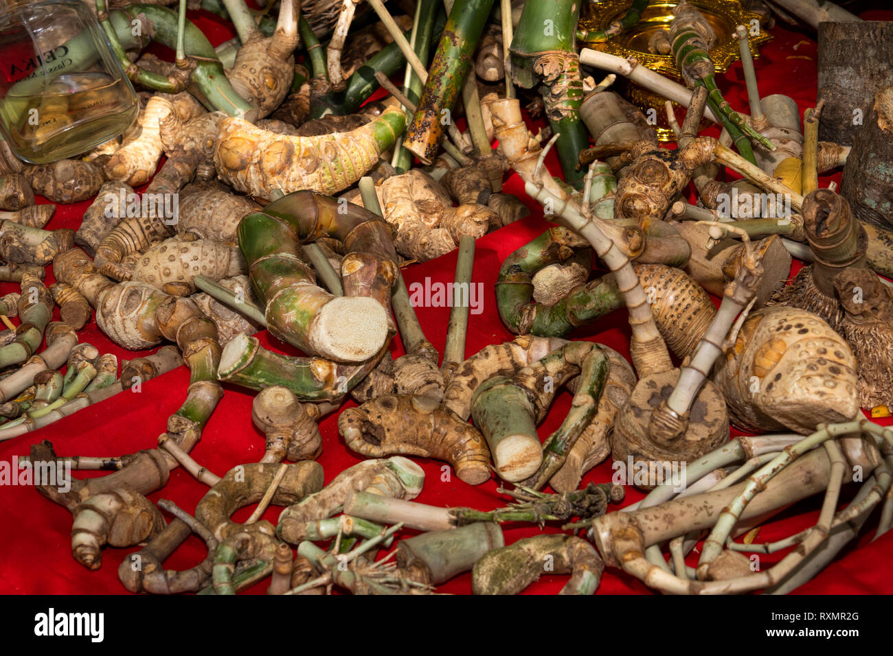 Camboya, Phnom Penh, Oudong, raíces y plantas medicinales muestran a vender a los visitantes Foto de stock