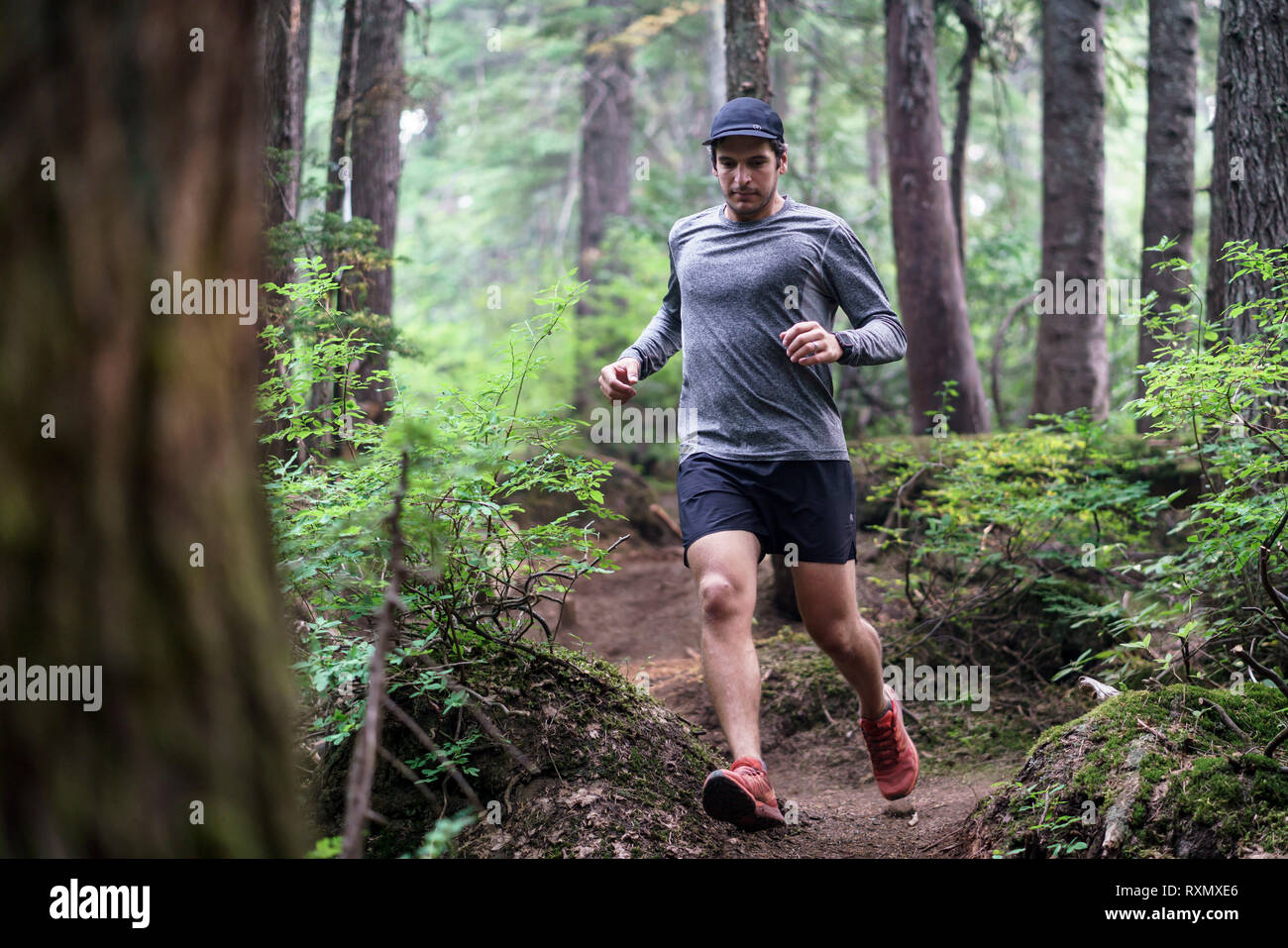 Un hombre trail runner corriendo a través del Parque Provincial de Cypress, British Columbia, Canadá Foto de stock