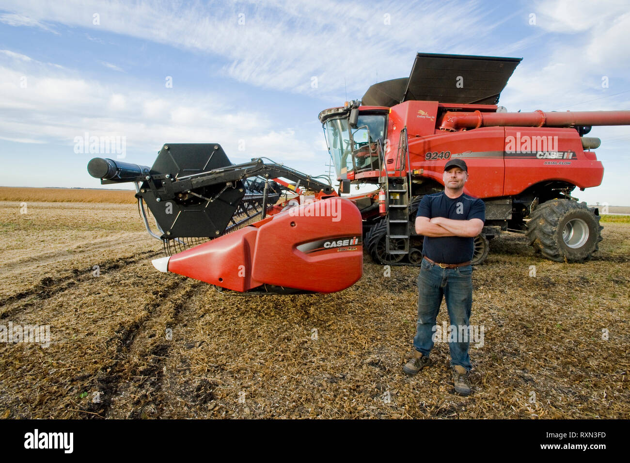 Agricultor en la parte delantera de la cosechadora durante la cosecha de soja, cerca de Dugald, Manitoba Foto de stock