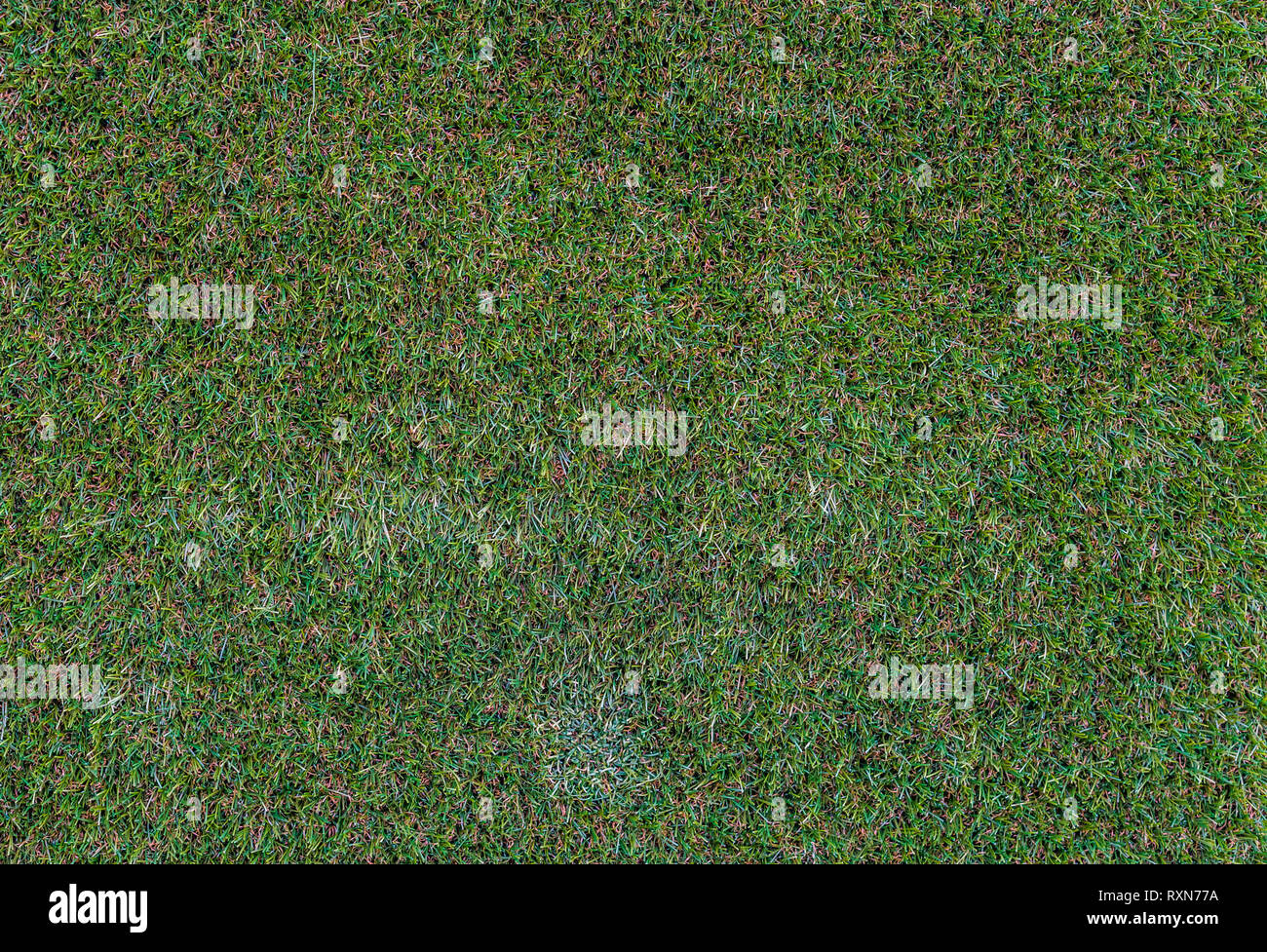 La alfombra de césped artificial moderno en macro closeup, detalle de hojas  de pasto, patrón de imitación de césped, plantas de jardín moderna  Fotografía de stock - Alamy