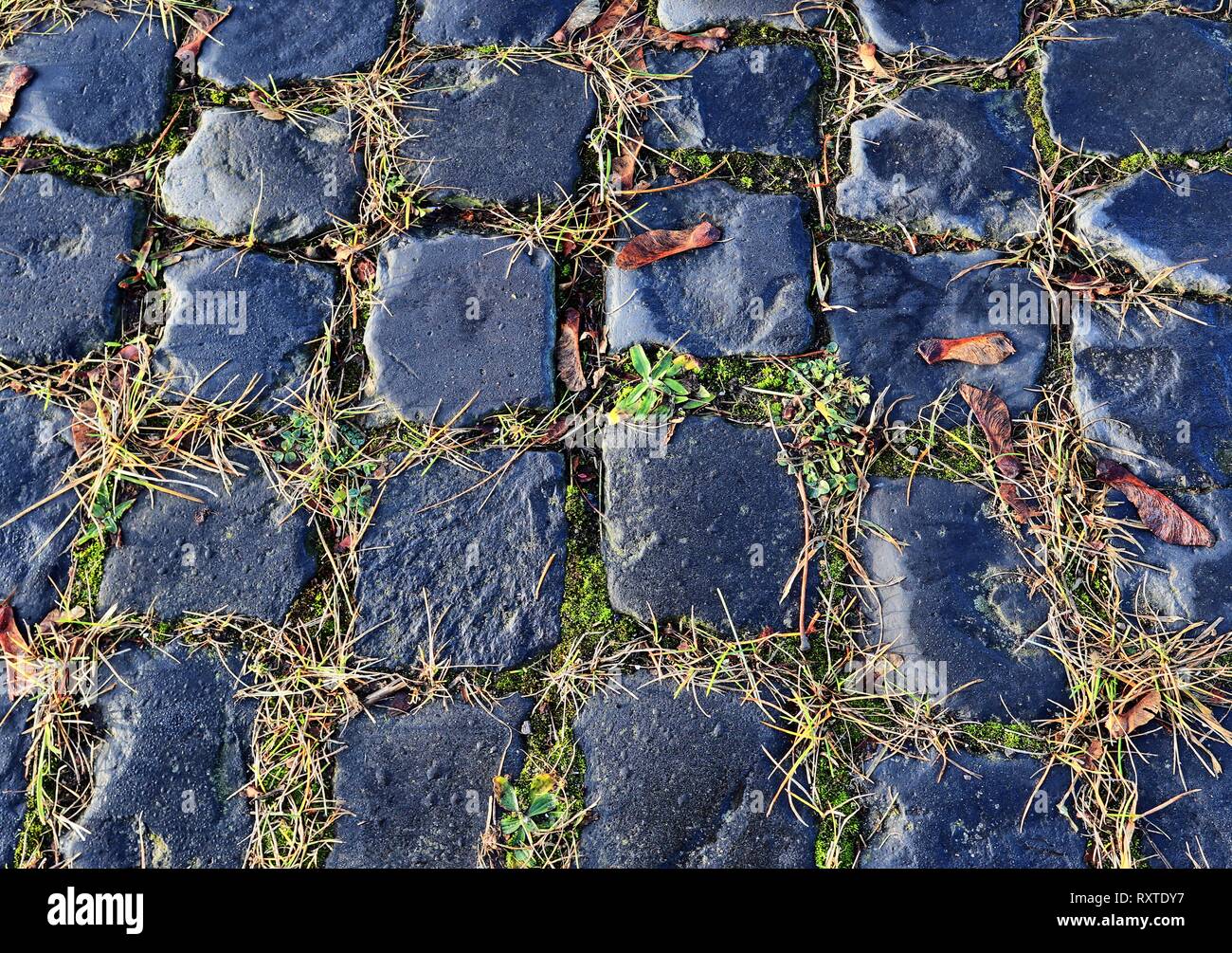 Vista de cerca de diferentes perspectivas sobre las superficies del suelo empedrado tomadas en el norte de Alemania calles Foto de stock