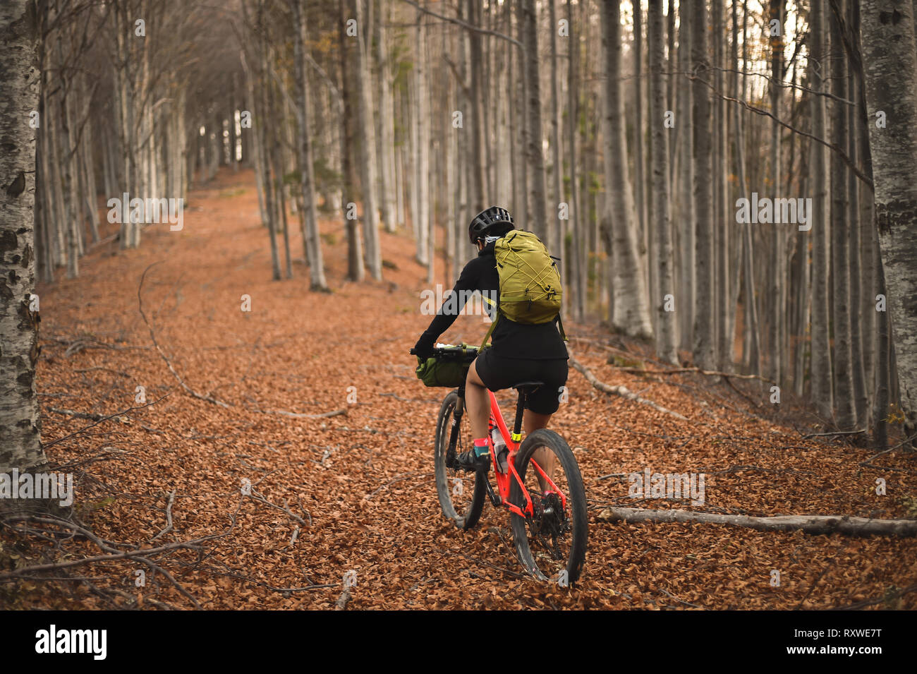 PRAHOVA/RUMANIA - Octubre 28, 2018: Otoño paisaje montañoso a caballo con una bicicleta de montaña equipada con bolsas de viaje. Foto de stock