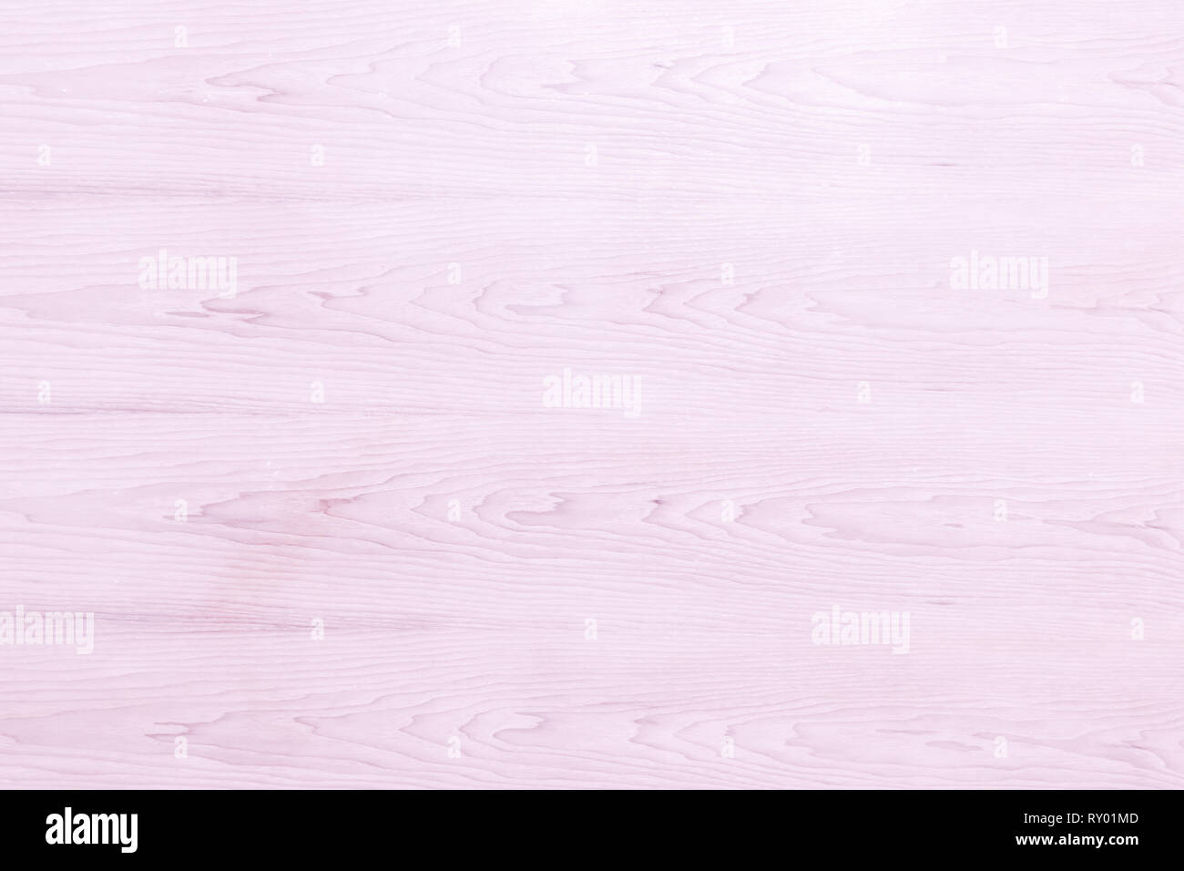 Resumen Rosa de textura de madera brillante luz blanca sobre fondo de color natural arte simple cáscara de grano con piso de madera de teca panel antiguo telón de fondo con tidy Foto de stock