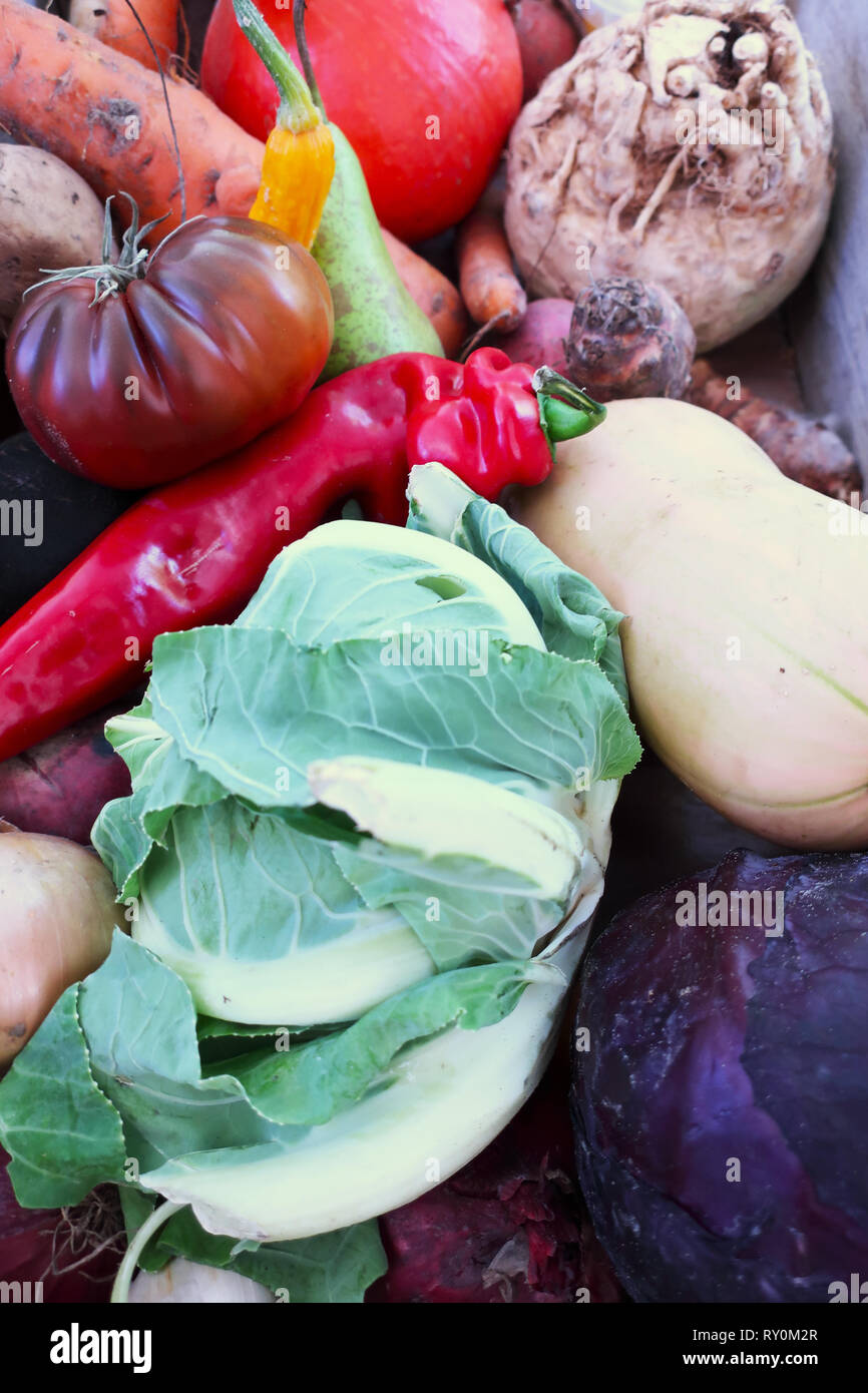 Cosecha fresca mezcla de verduras del jardín Foto de stock