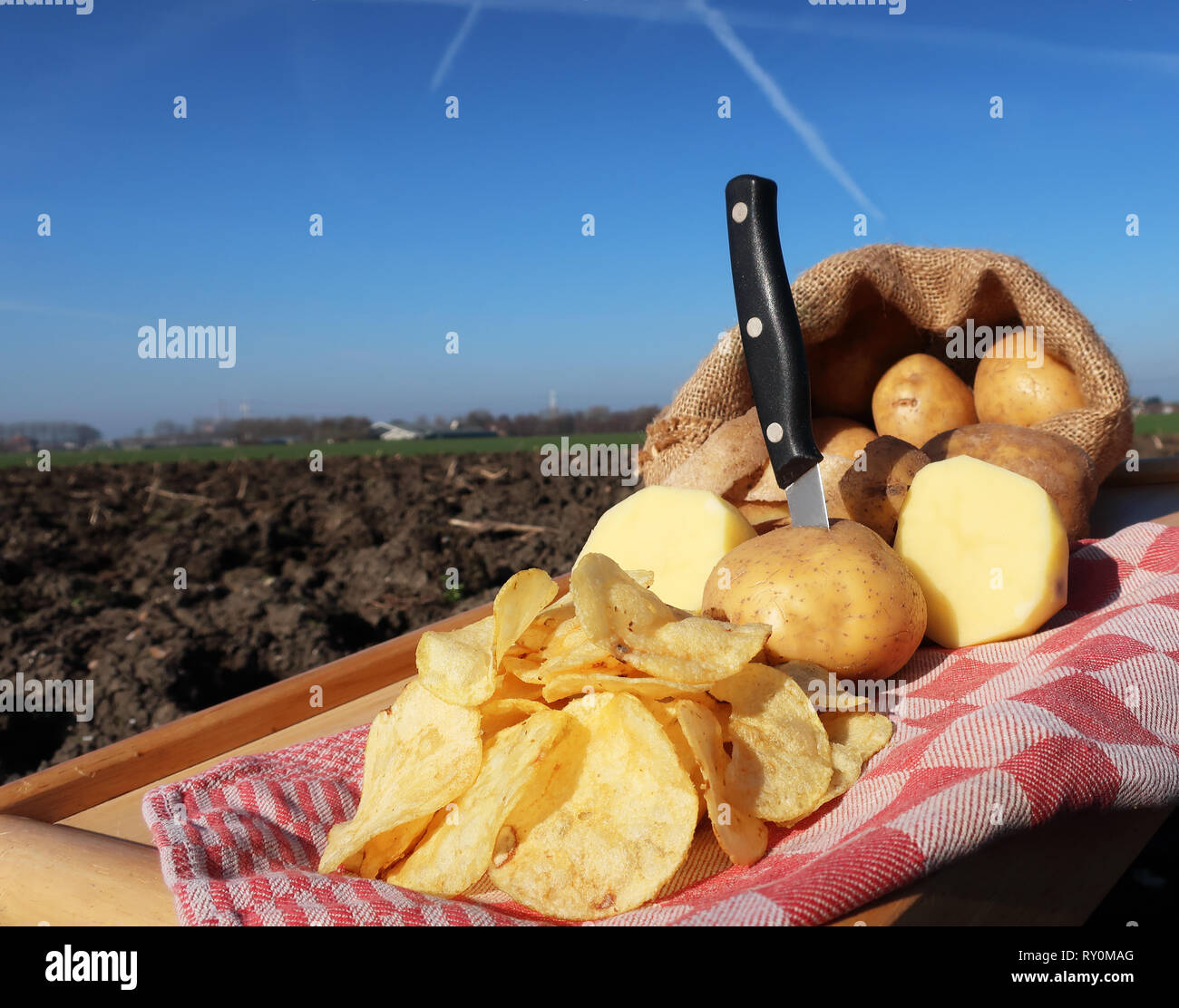 Y patatas fritas horneadas en un campo Foto de stock