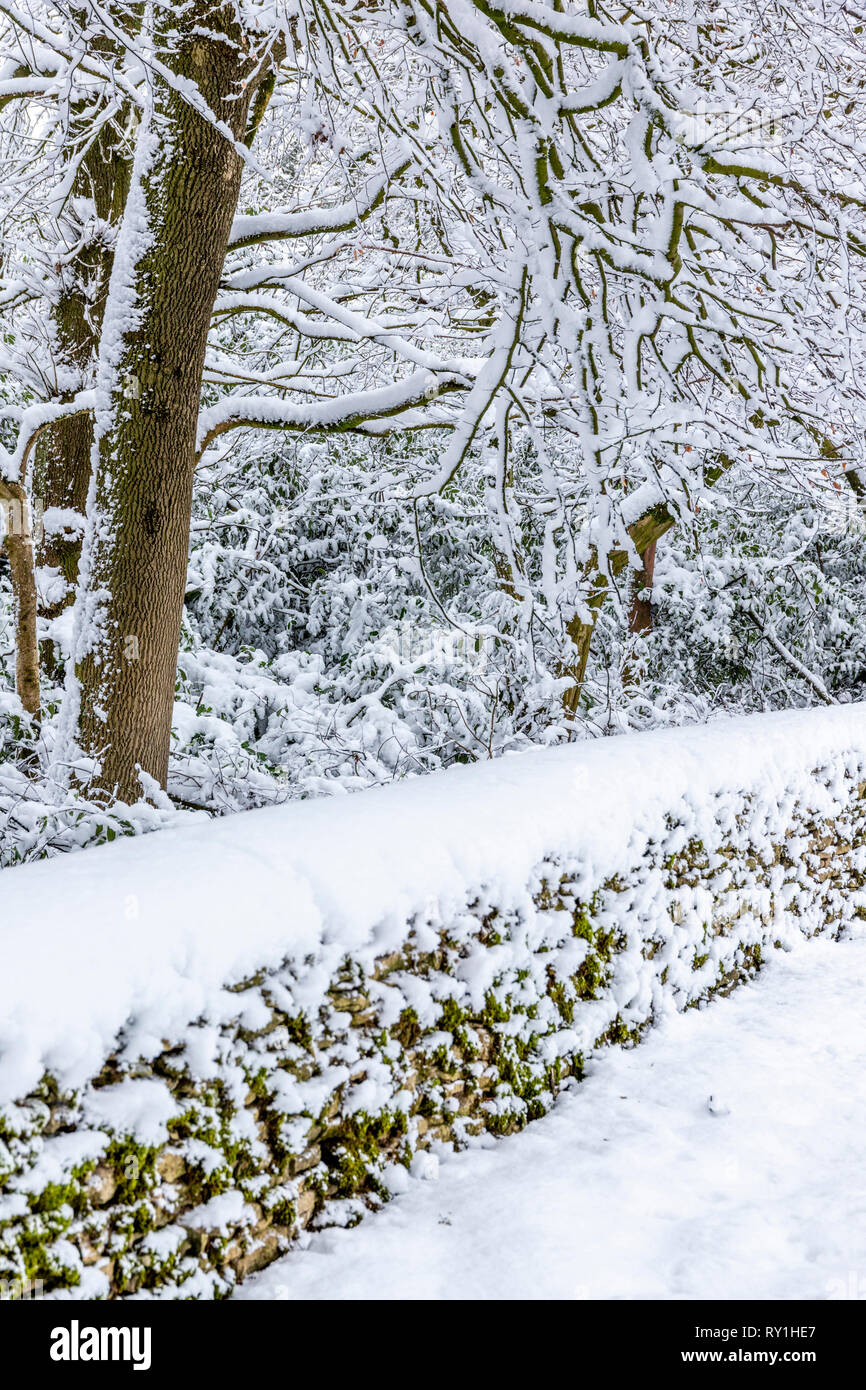 Bosques cubiertos de nieve, cerca de la ciudad de Cotswold Wotton bajo Borde, Gloucestershire, Reino Unido Foto de stock