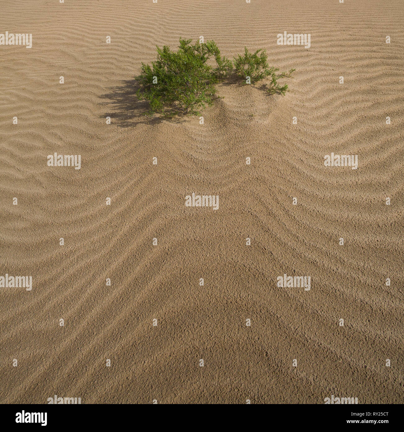 My Image 9