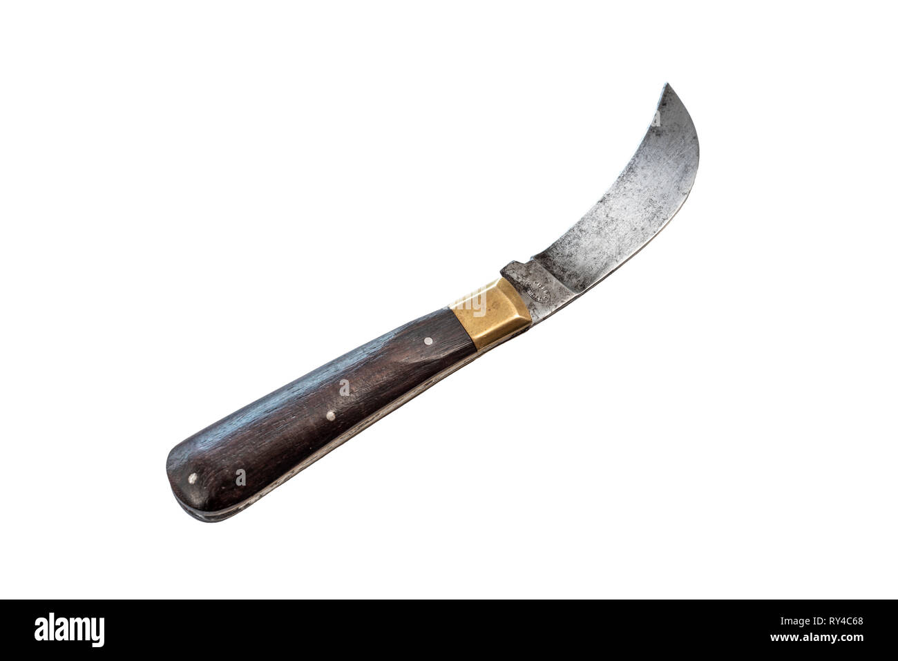 Plegado, poda de acero inoxidable, cuchilla con mango de madera.aislado en blanco. Foto de stock