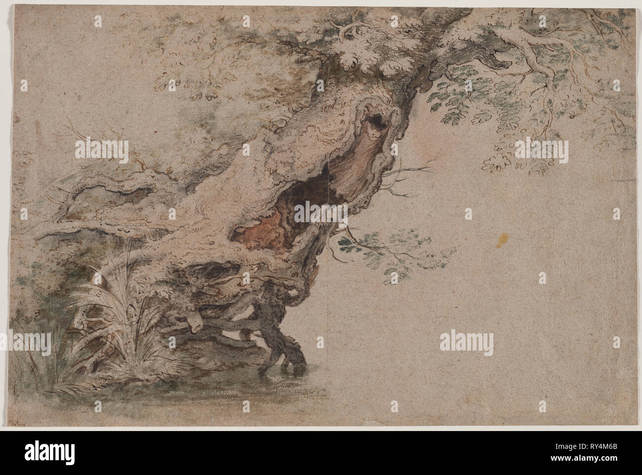 Árbol hueco, después Roelant Savery, después de 1670. Lambert Doomer (holandés, 1623-1700), copia después Roelant Savery (flamenca, 1576-1639). Lápiz y tinta marrón y negro, negro la tiza y el pincel y verde, marrón y naranja lavar; hoja: 31,7 x 47,4 cm (12 1/2 x 18 11/16 Foto de stock