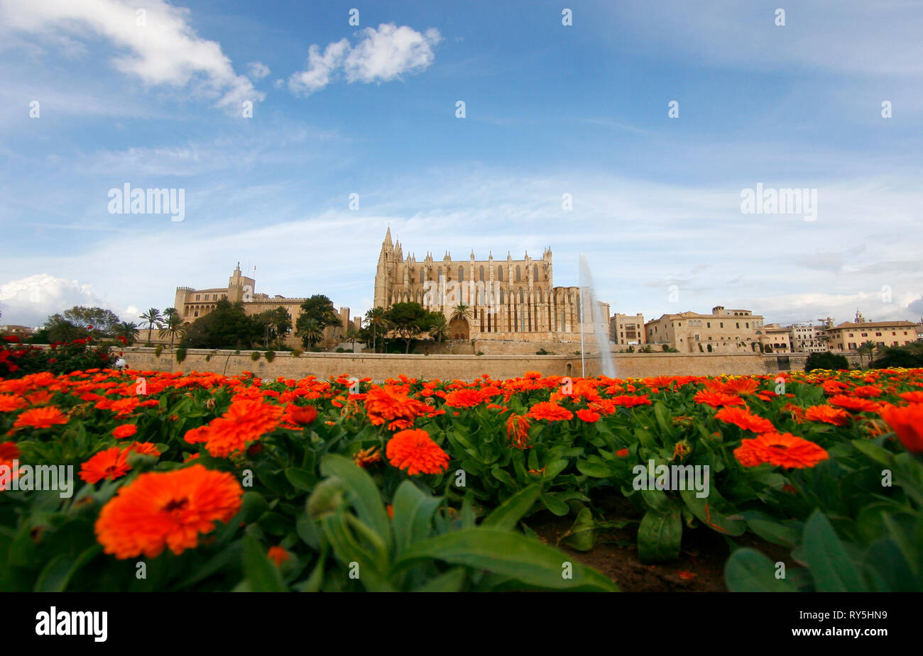 La catedral de Palma de Mallorca sen del cercano Parc de la Mar Park en la isla española de Mallorca. Foto de stock