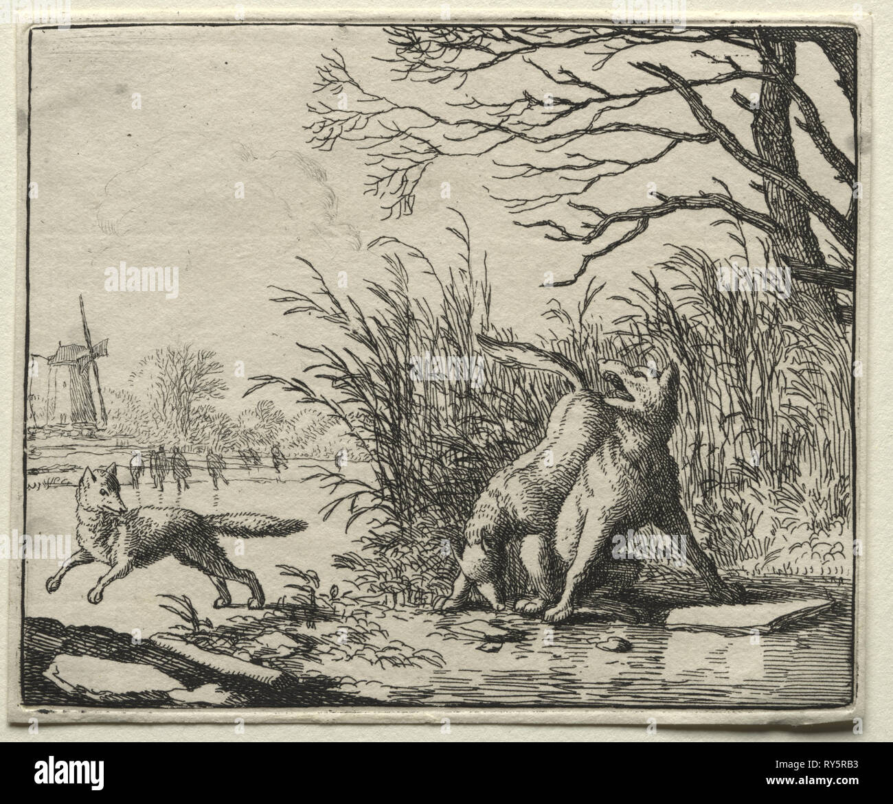Reynard el zorro: Una nueva acusación por el lobo. Celebrado Allart van Everdingen (holandés, 1621-1675). Aguafuerte Foto de stock