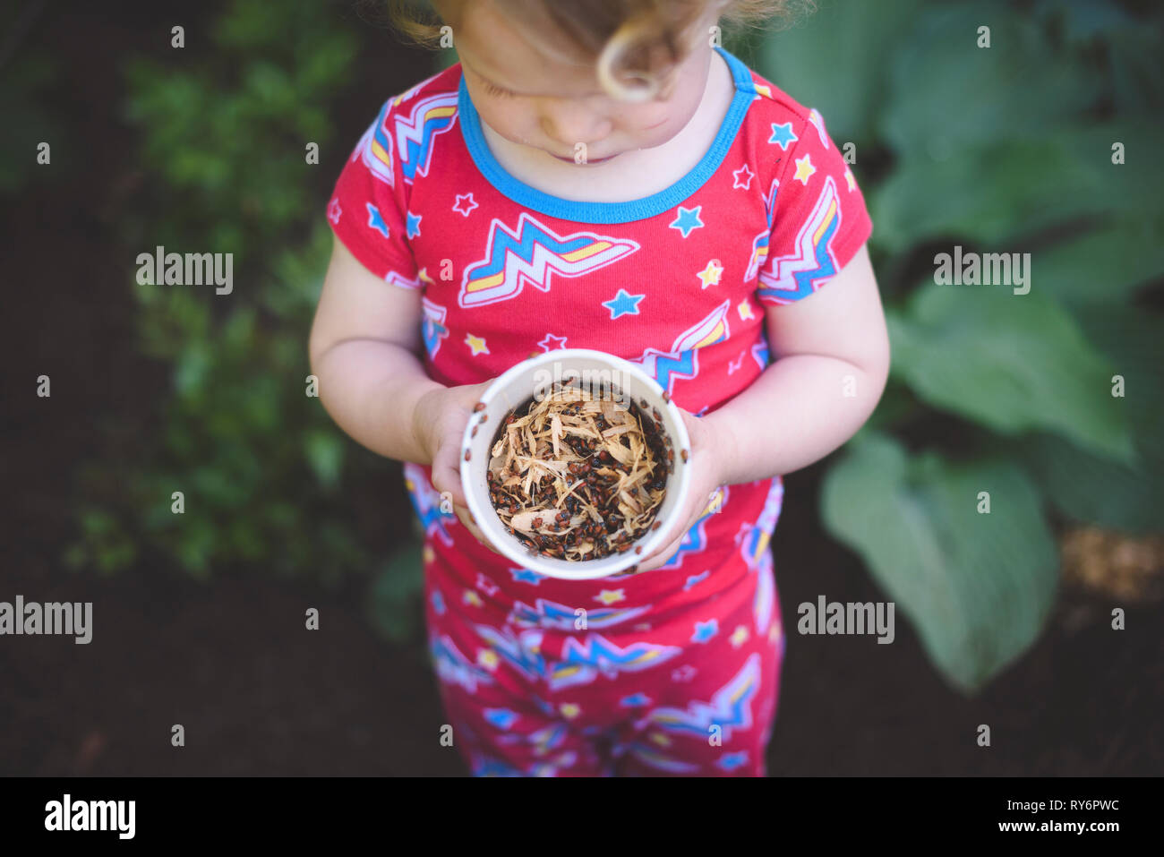 Un alto ángulo de vista de Chica sujetando las plantas con la mariquita en el recipiente mientras está de pie en el patio Foto de stock