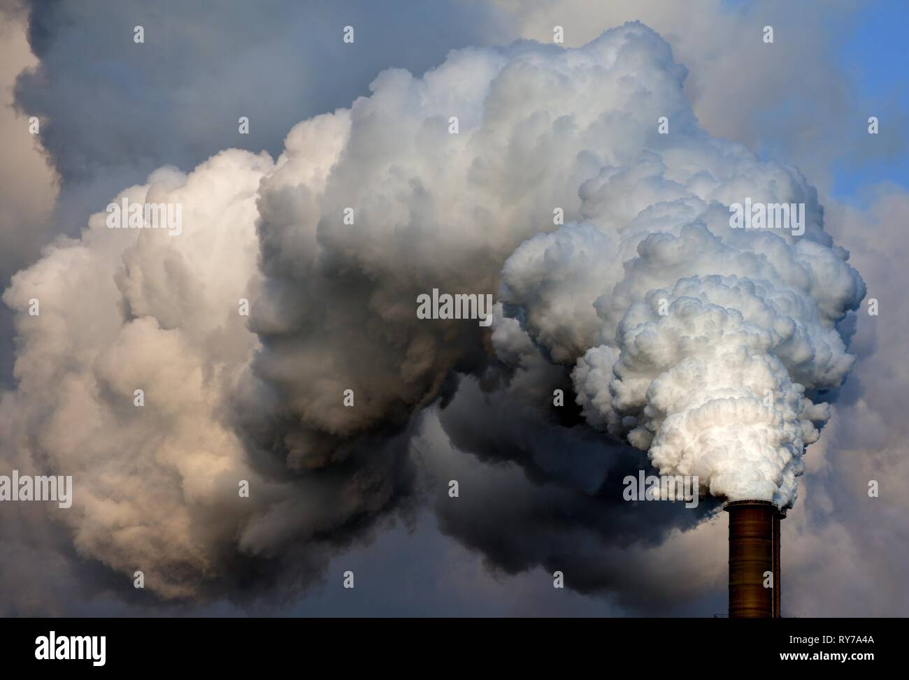 Moorburg Power Plant, chimenea con tubo de escape nube, Hamburgo, Alemania. Foto de stock