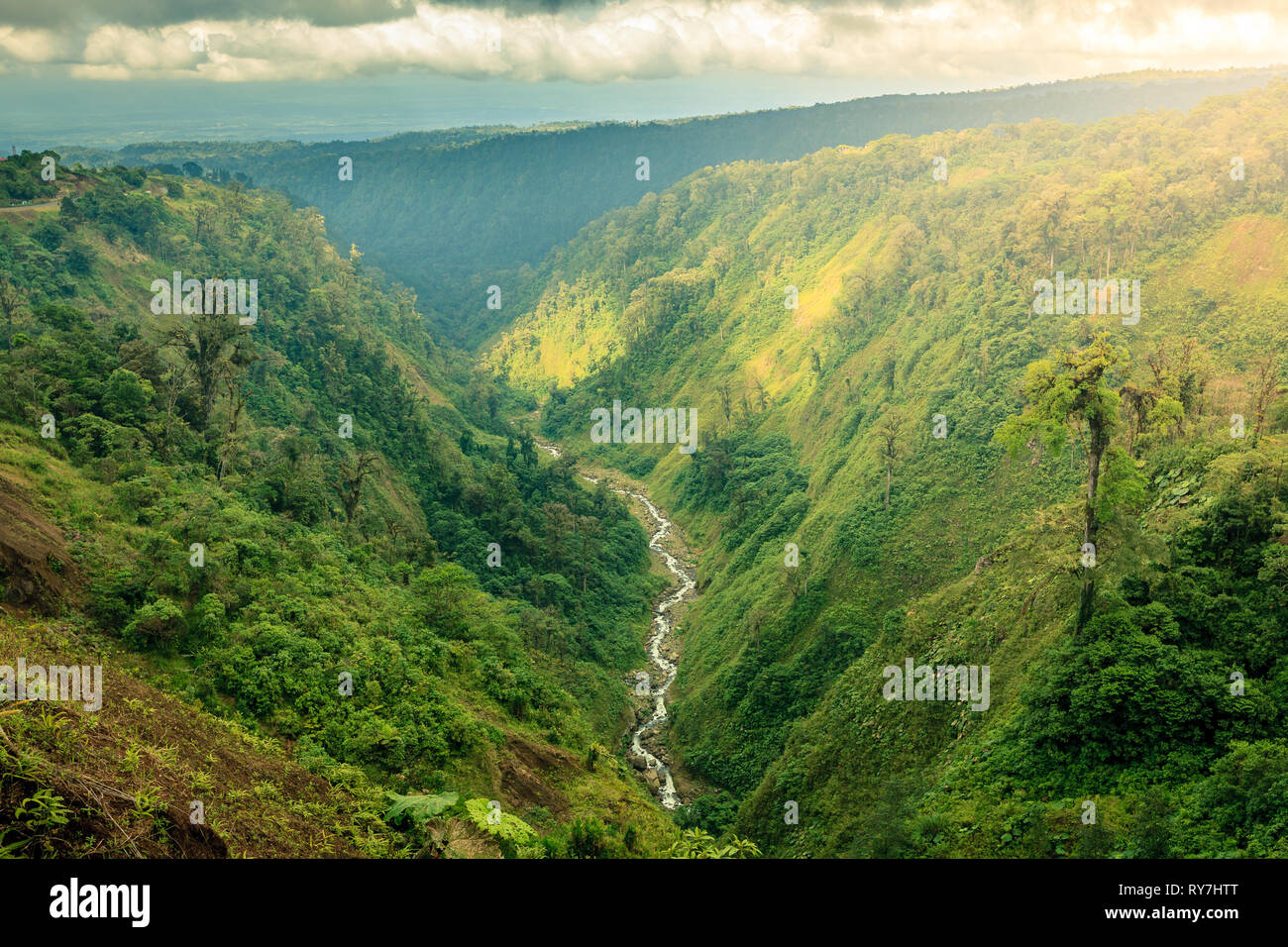 Vista panorámica de un barranco con un arroyo en la parte central de Costa Rica Foto de stock