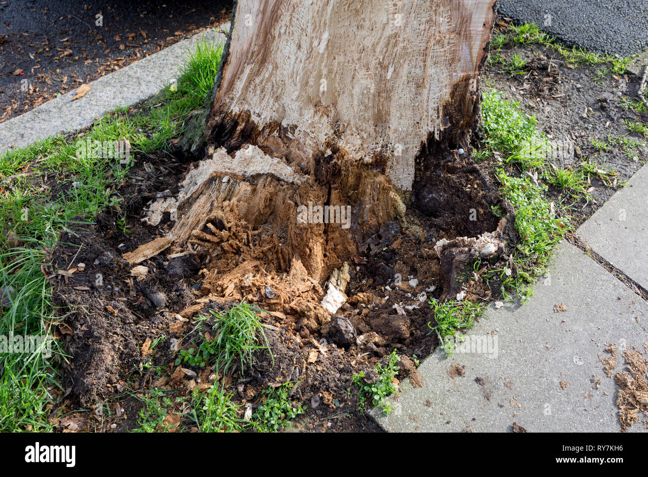 Tras fuertes ráfagas de vientos en el sur de Londres, un coche ha sido